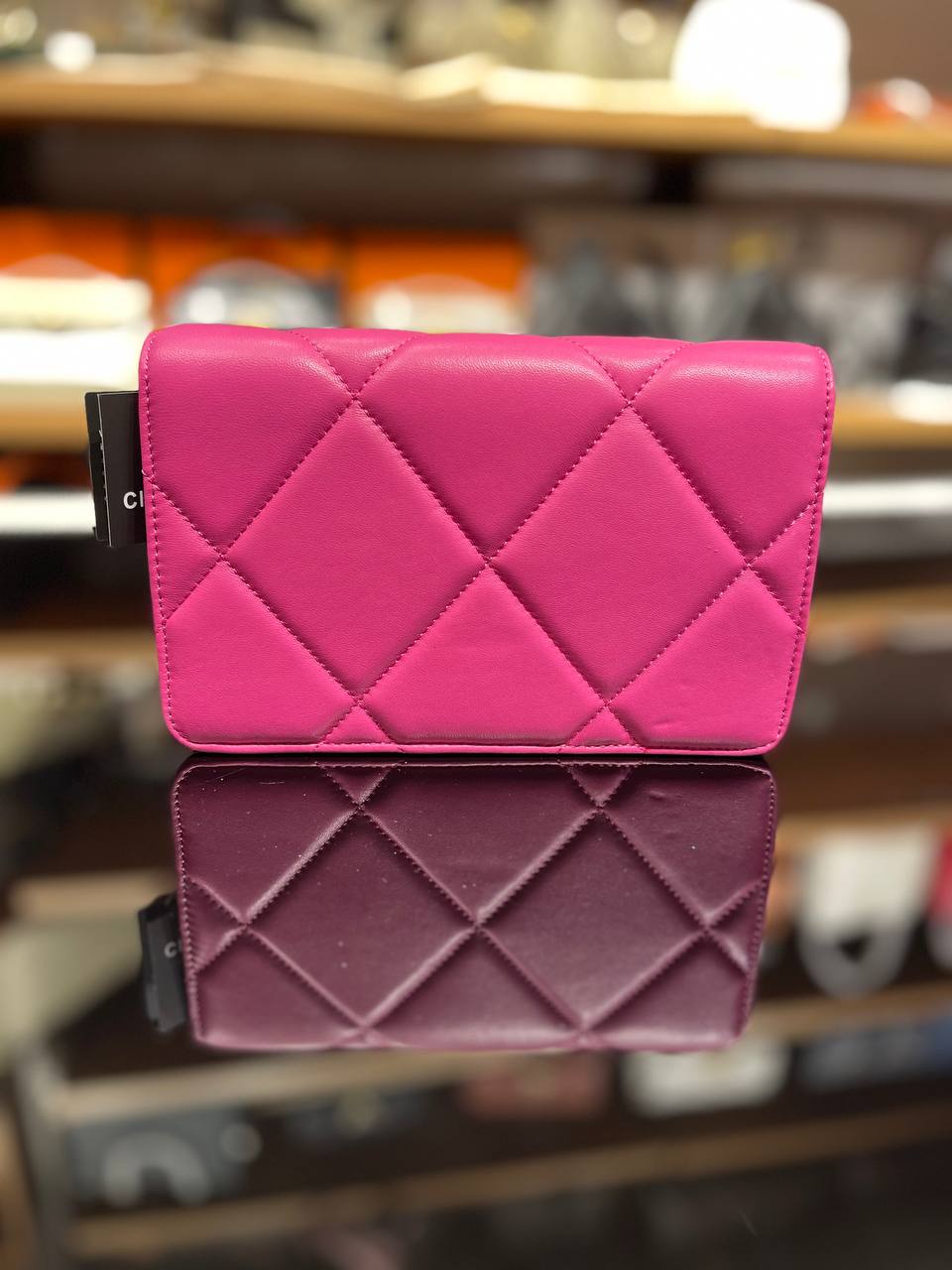 Chanel 19 WOC Bag Fuchsia