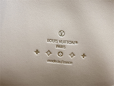 Louis Vuitton Coussin PM Monogram Denim